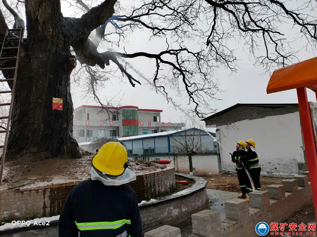 一棵千年大樹突發(fā)自燃“蒲白救援”挺身而出